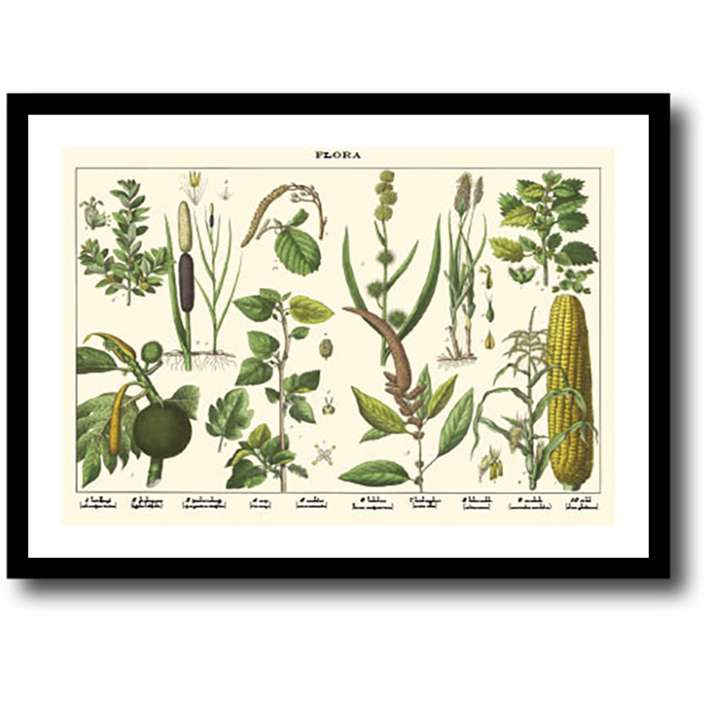 Natur plakat 30x40cm i ramme