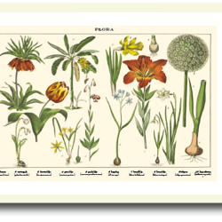 Natur plakat 30x40cm i ramme