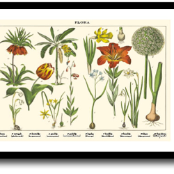 Natur plakat 30x40cm i ramme