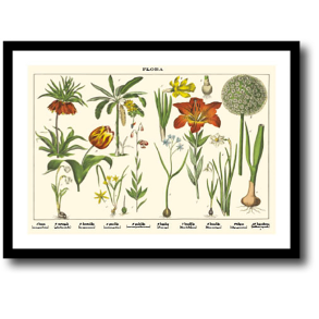 Natur plakat 30x40cm i ramme