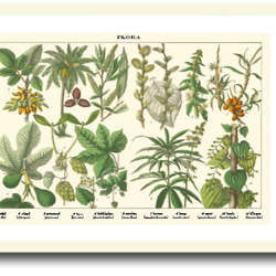 Natur plakat 30x40cm i ramme