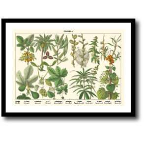 Natur plakat 30x40cm i ramme