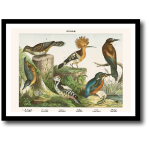 Natur plakat 30x40cm i ramme