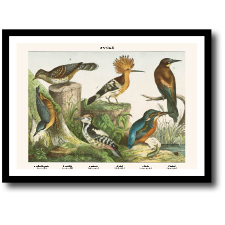Natur plakat 30x40cm i ramme
