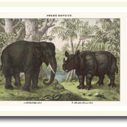 Natur plakat 30x40cm i ramme