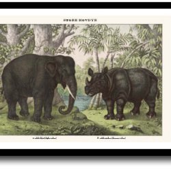 Natur plakat 30x40cm i ramme