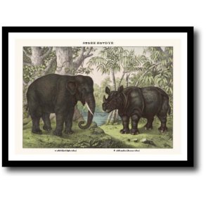 Natur plakat 30x40cm i ramme