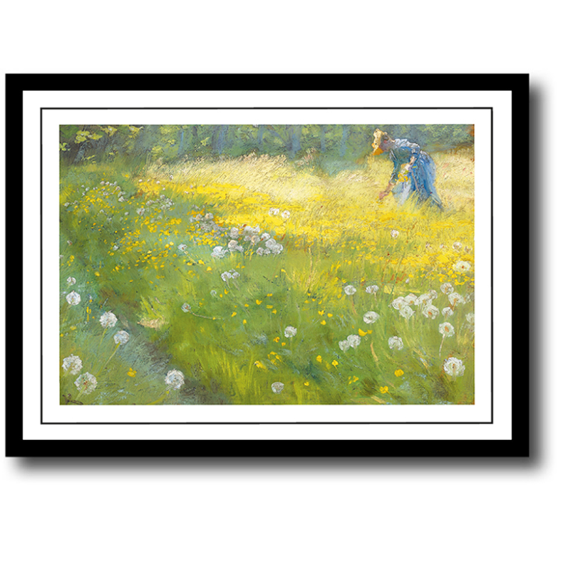 Skagen plakat 30x40cm i ramme