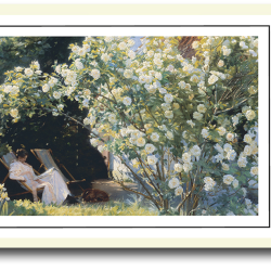 Skagen plakat 30x40cm i ramme