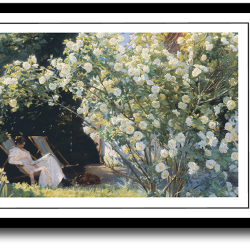 Skagen plakat 30x40cm i ramme