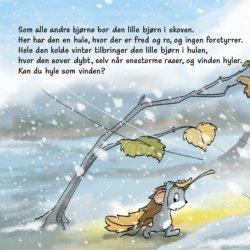 Hvad savner du, lille bjrn?