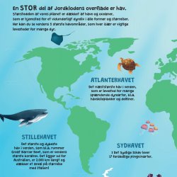 Min frste bog om livet i havet