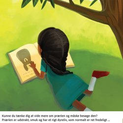 Har du lyst til at opleve en prrie?