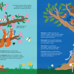 Hvilke kr kan man mde i et tr?