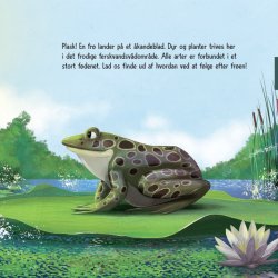 Ferskvandssens fdenet