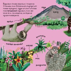 De frste 100 ord om regnskov