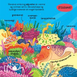 De frste 100 ord om havet