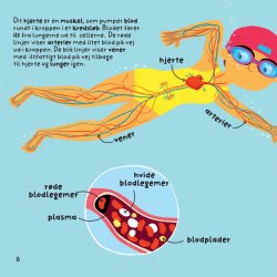 De frste 100 ord om kroppen