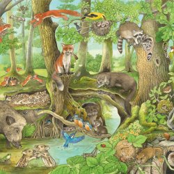 Kig og snak om dyrenes skjul