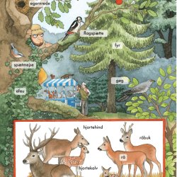 Alle mulige ord om naturen omkring os