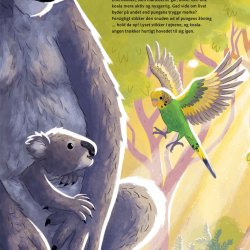 Koalaer elsker eukalyptus