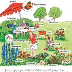 Alle mulige ord om sommeren