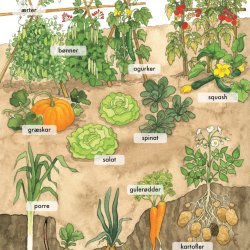 Alle mulige ord om natur i nrheden