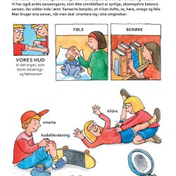 Alle mulige ord om krop og sanser