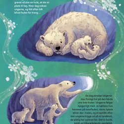 Hvor Nordlyset danser, bor en isbjrn