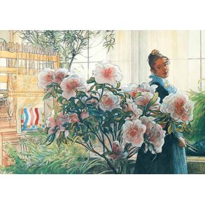 Carl Larsson dobbeltkort