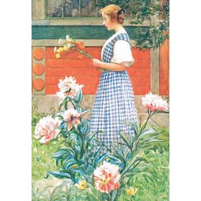 Carl Larsson dobbeltkort