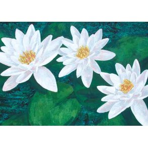 Dobbeltkort m. kulrt konvolut