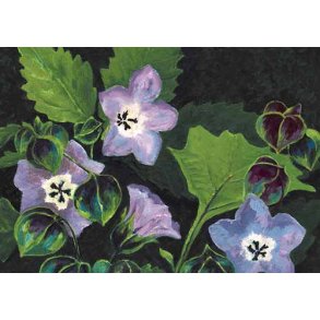 Dobbeltkort m. kulrt konvolut