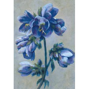 Dobbeltkort m. kulrt konvolut