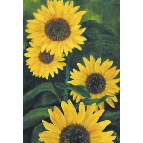 Dobbeltkort m. kulrt konvolut