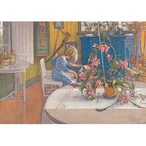 Carl Larsson dobbeltkort