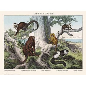 Natur plakat 30x40cm