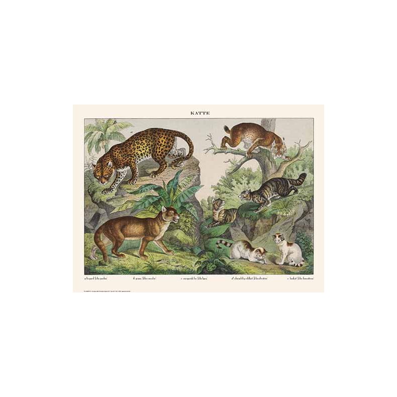 Natur plakat 50x70cm