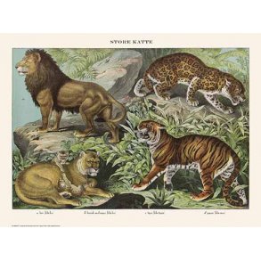 Natur plakat 30x40cm