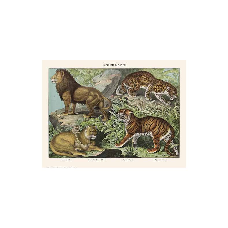 Natur plakat 30x40cm