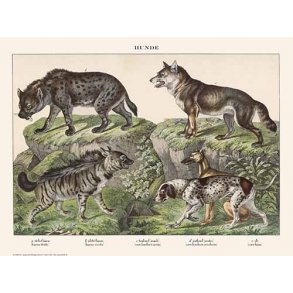 Natur plakat 30x40cm