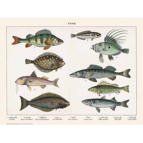 Natur plakat 30x40cm