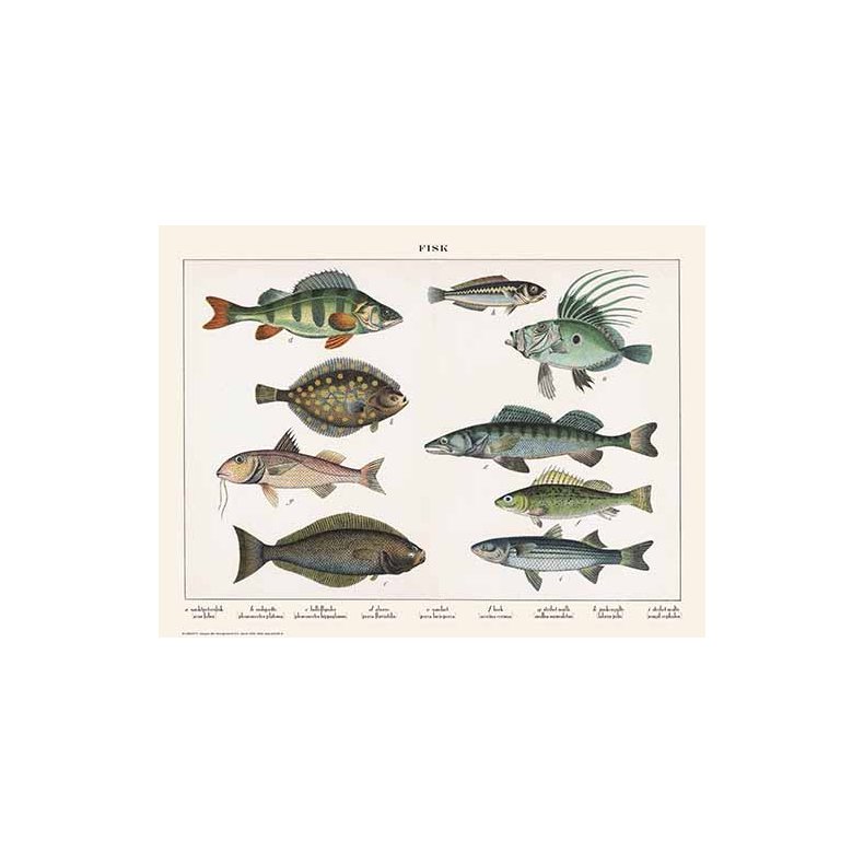 Natur plakat 30x40cm