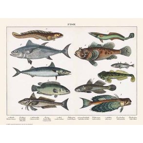 Natur plakat 30x40cm