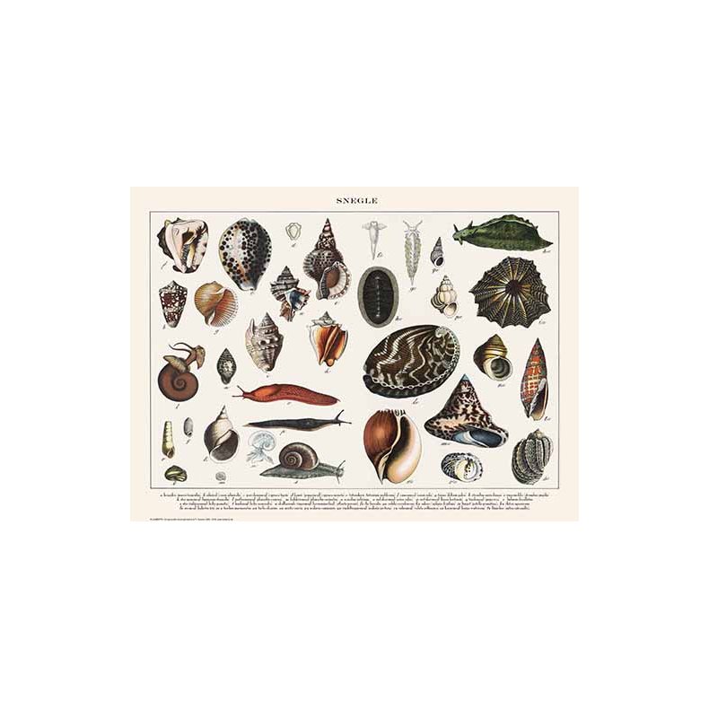Natur plakat 30x40cm