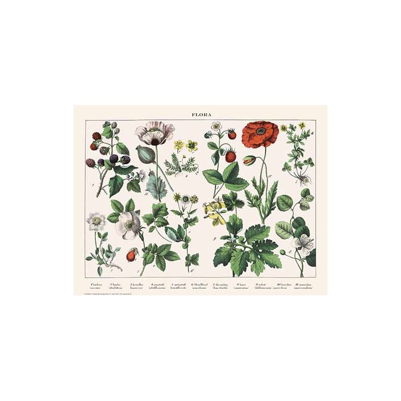 Natur plakat 50x70cm
