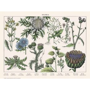 Natur plakat 50x70cm