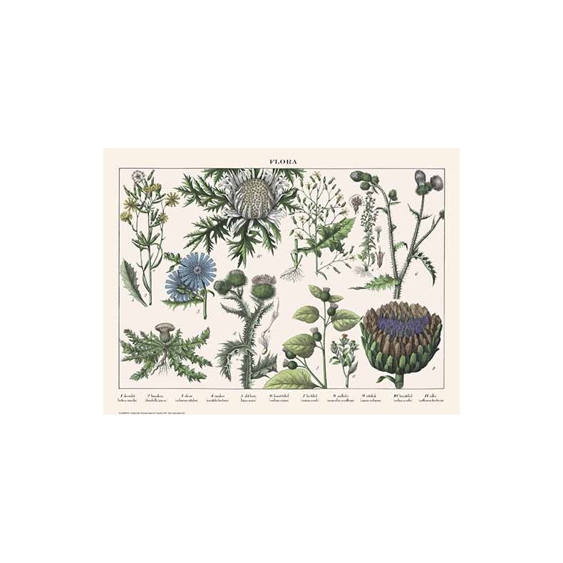 Natur plakat 30x40cm