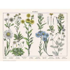 Natur plakat 50x70cm