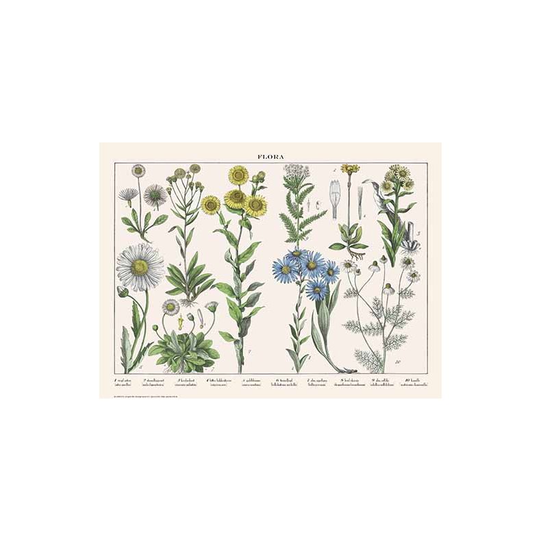 Natur plakat 50x70cm